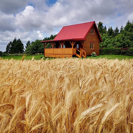 Dorotkowy Domek Wielowies  Buitenkant foto
